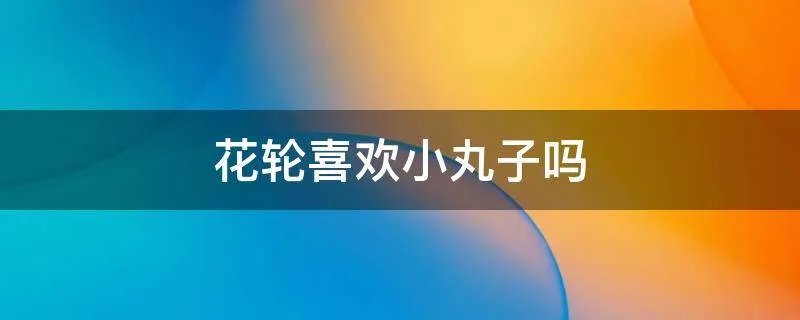 花轮喜欢小丸子吗
