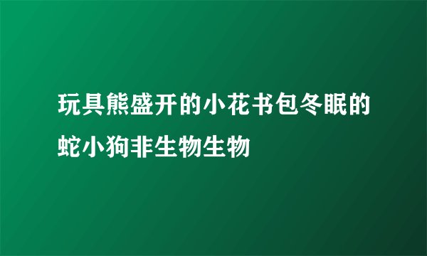 玩具熊盛开的小花书包冬眠的蛇小狗非生物生物