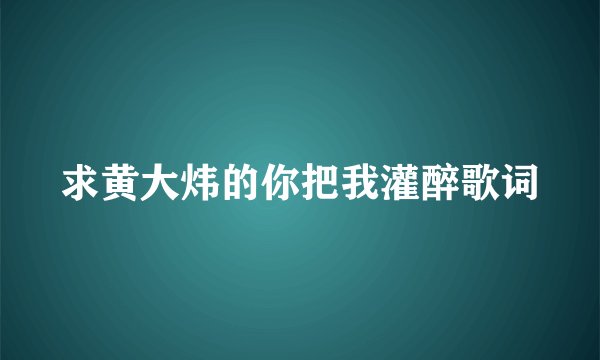 求黄大炜的你把我灌醉歌词