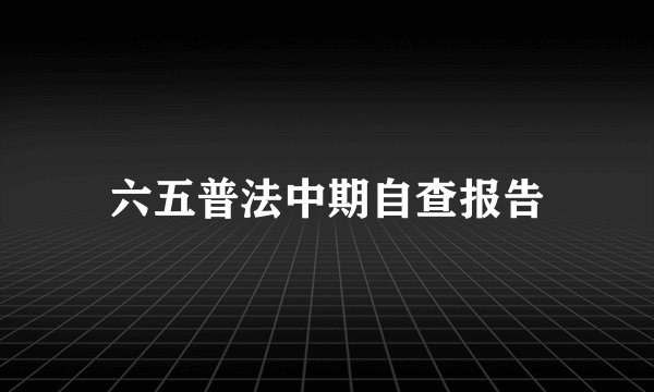 六五普法中期自查报告