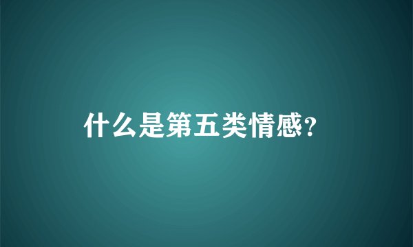 什么是第五类情感？