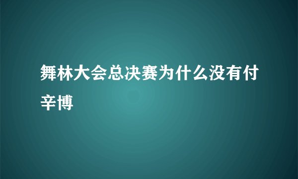 舞林大会总决赛为什么没有付辛博