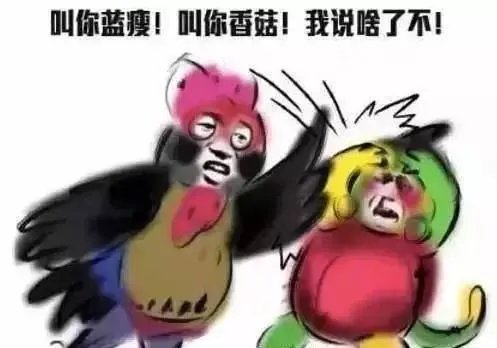 鸡年春晚吉祥物有毒:我跟外面的妖艳贱鸡不一样!