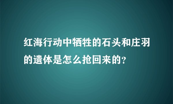 红海行动中牺牲的石头和庄羽的遗体是怎么抢回来的?