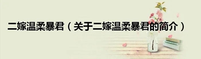 二嫁温柔暴君（关于二嫁温柔暴君的简介）