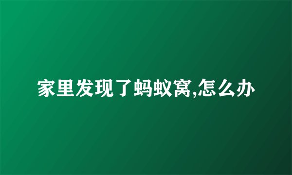 家里发现了蚂蚁窝,怎么办