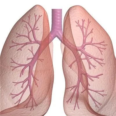 肺癌生物治疗费用