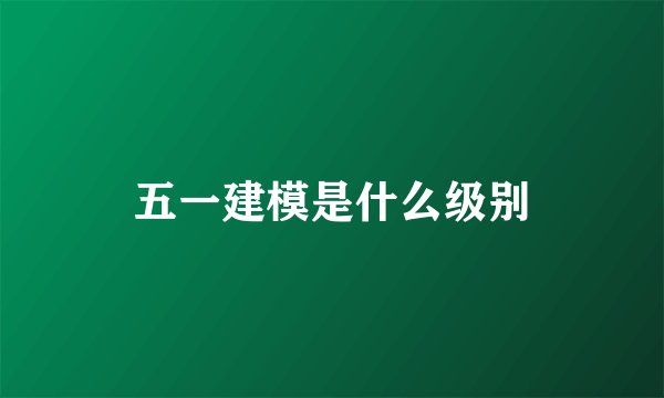 五一建模是什么级别