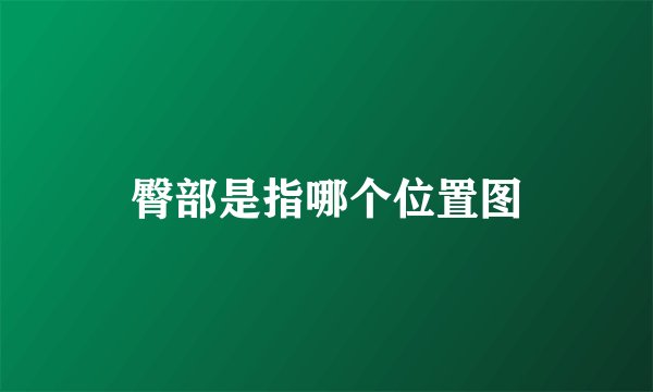 臀部是指哪个位置图