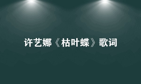 许艺娜《枯叶蝶》歌词