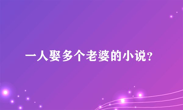 一人娶多个老婆的小说？