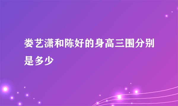 娄艺潇和陈好的身高三围分别是多少