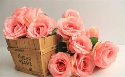 未婚妻生日送什么礼物 给老婆买什么礼物最合适