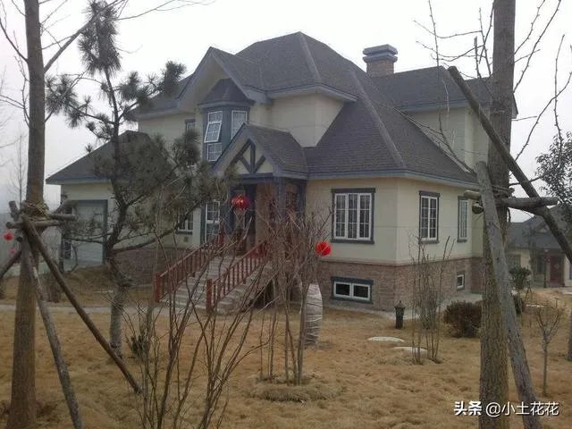 求农村120平一层小别墅设计图?
