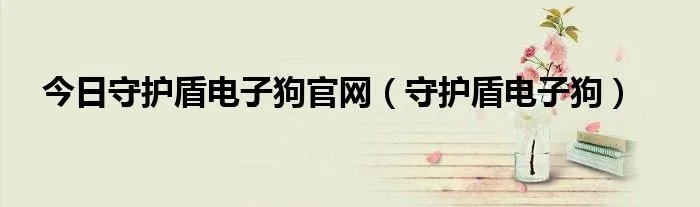 今日守护盾电子狗官网（守护盾电子狗）