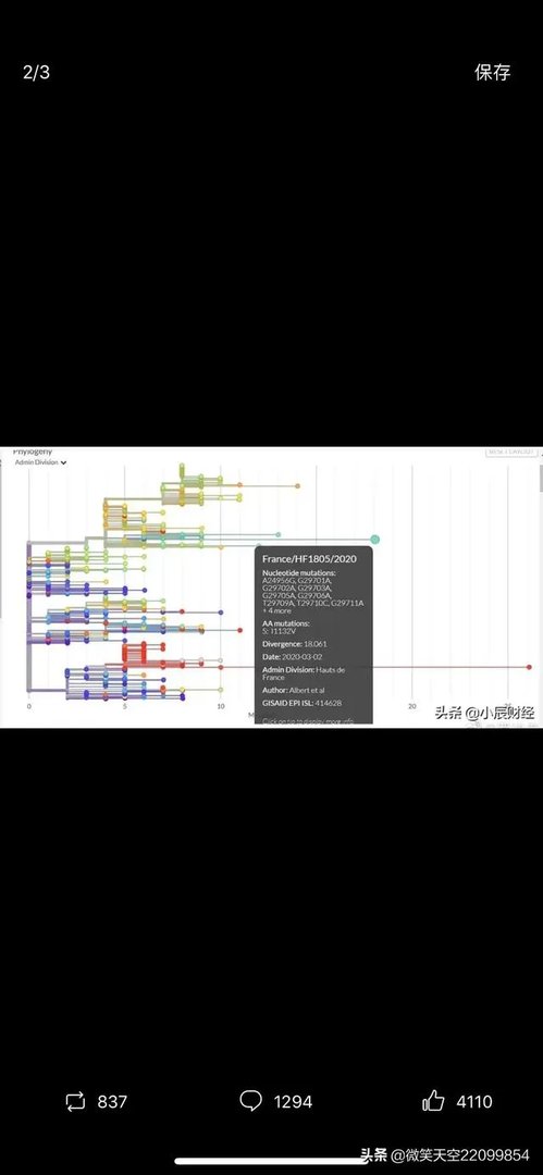值得警惕:美国的新冠病毒究竟隐瞒了多久?