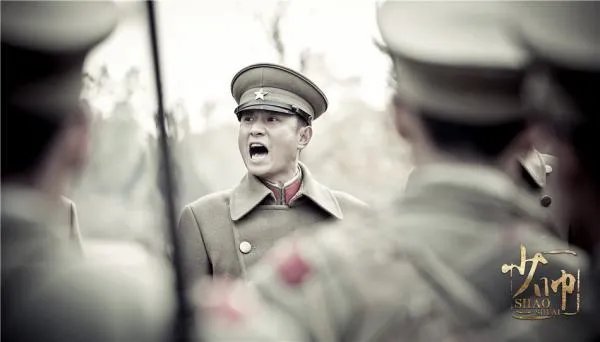 少帅电视剧好看