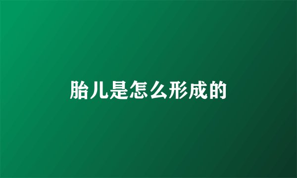 胎儿是怎么形成的