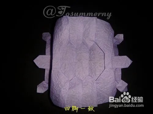 【天の折馆】金钱龟折纸实拍教程