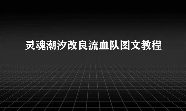 灵魂潮汐改良流血队图文教程