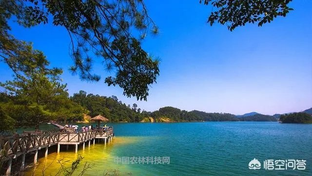 从化位于广东哪里?