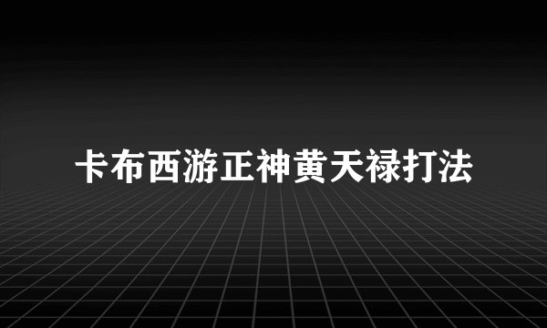 卡布西游正神黄天禄打法