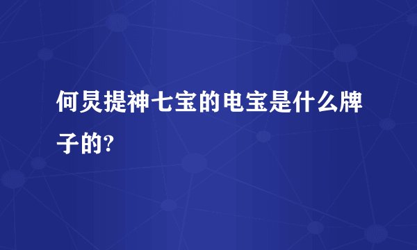 何炅提神七宝的电宝是什么牌子的?