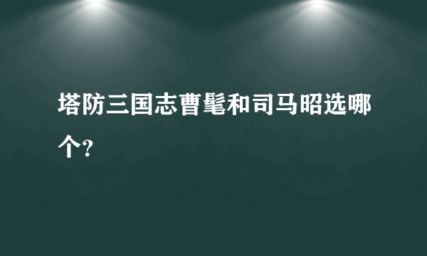 塔防三国志曹髦和司马昭选哪个？