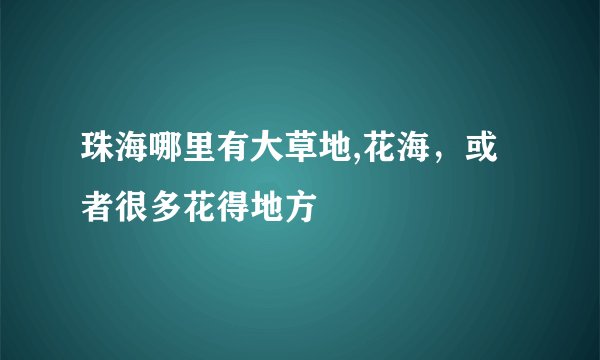 珠海哪里有大草地,花海,或者很多花得地方