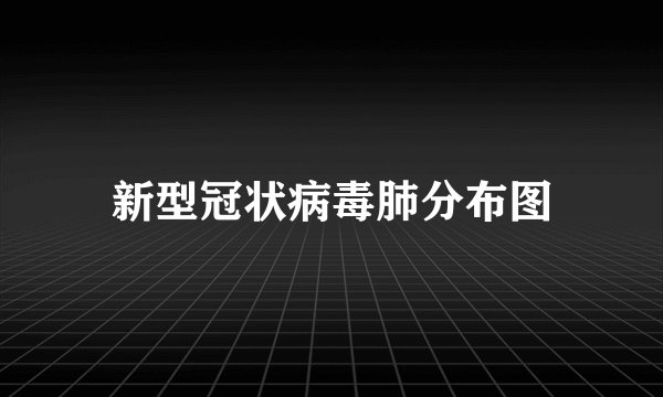 新型冠状病毒肺分布图