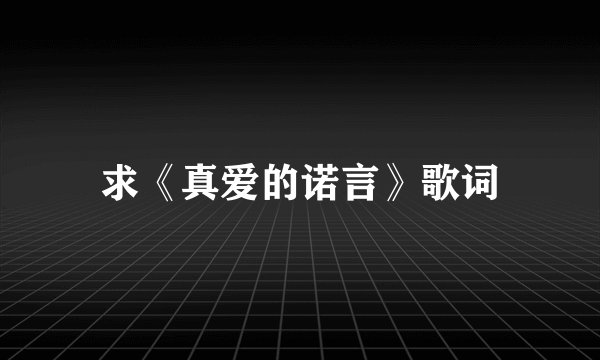 求《真爱的诺言》歌词
