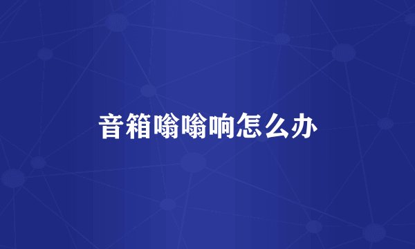 音箱嗡嗡响怎么办