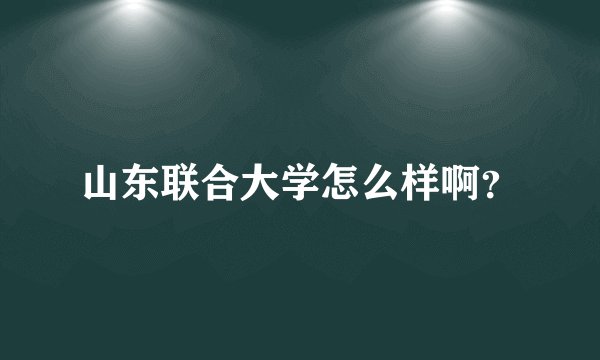 山东联合大学怎么样啊？