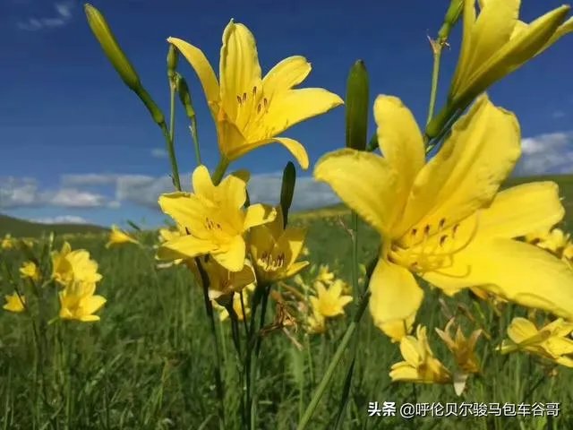 尼康d300s怎么样?