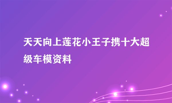 天天向上莲花小王子携十大超级车模资料