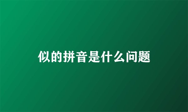 似的拼音是什么问题