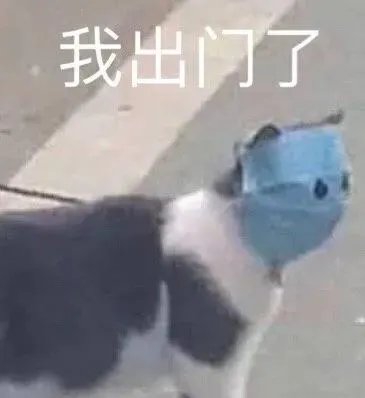 全国人民都关心的青岛，现在情况怎么样了？