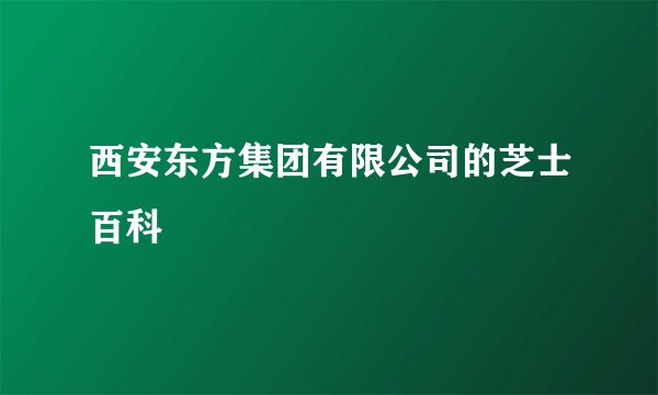 西安东方集团有限公司的芝士百科