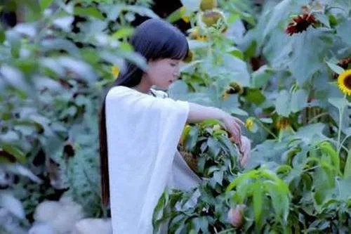 央视评李子柒为何火遍全球,对于李子柒你是怎么看的?