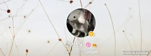 支付宝“中国锦鲤”终于出现 集全球独宠于一身