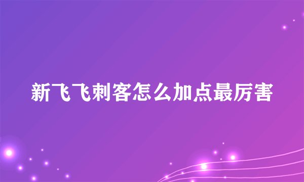 新飞飞刺客怎么加点最厉害