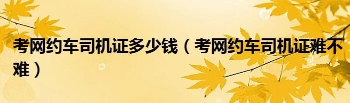 考网约车司机证多少钱(考网约车司机证难不难)