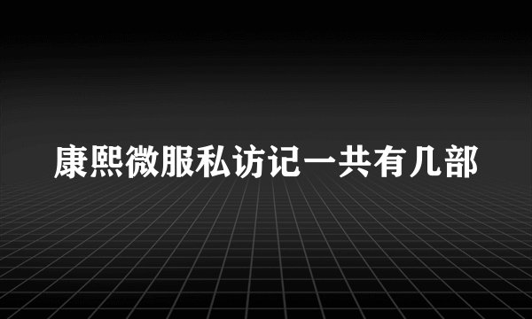 康熙微服私访记一共有几部