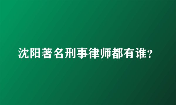 沈阳著名刑事律师都有谁？