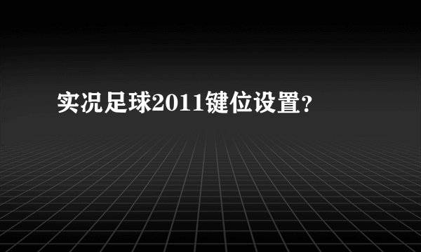 实况足球2011键位设置？