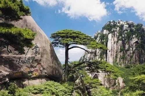 如何看待游客雨中爬黄山崩溃想回家的事件呢?