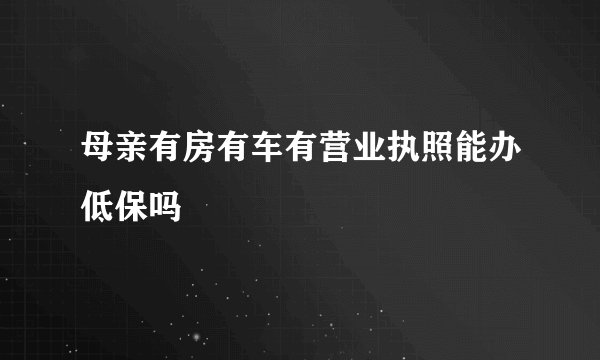 母亲有房有车有营业执照能办低保吗