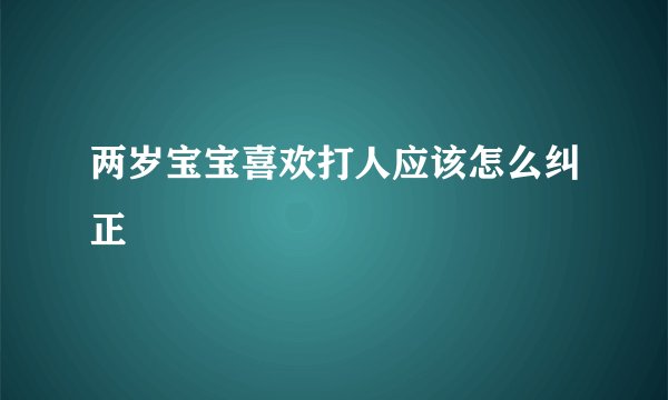 两岁宝宝喜欢打人应该怎么纠正