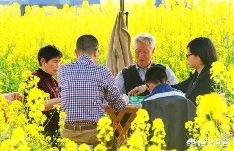 皮皮麻将这款游戏是怎么样火起来的?