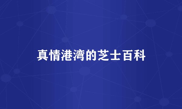 真情港湾的芝士百科